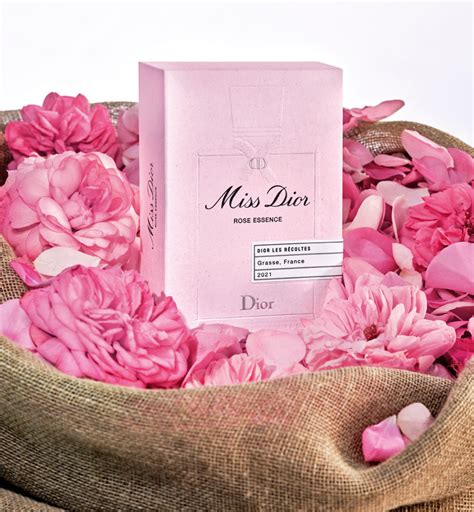 dior miss dior rose essence|Miss Dior rose perfume.